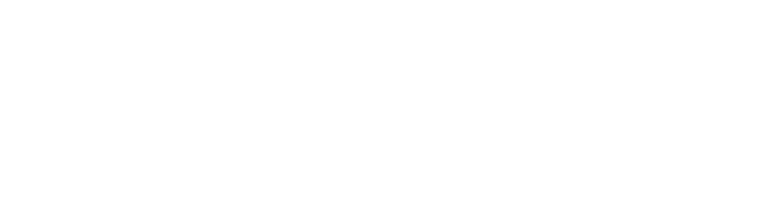 eCommerce Canada Logo